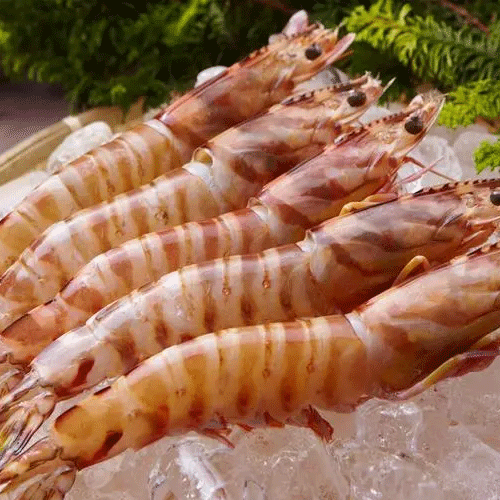 flower prawns