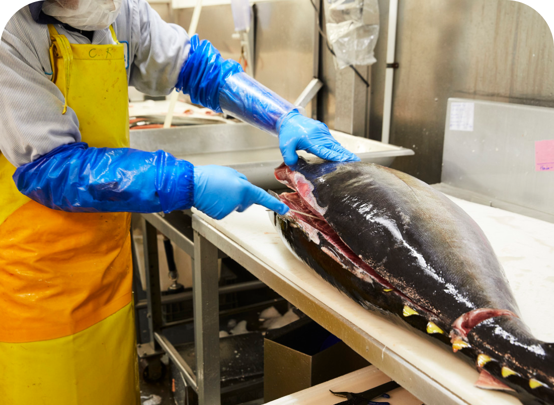 sushi-chef-close-up-mans-hands-cutting-fish-sushi